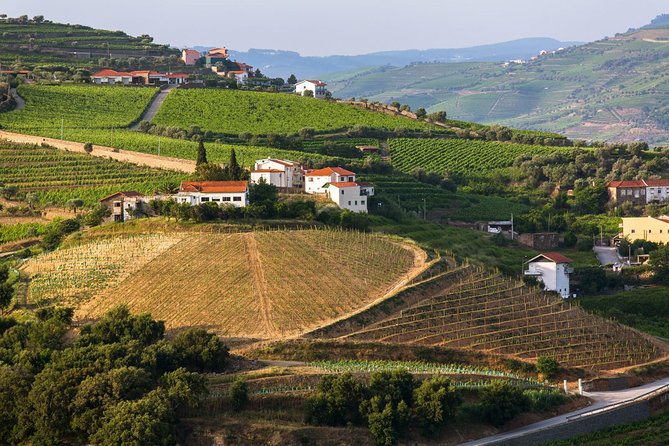 Douro Valley Tour: Wine Tasting, Cruise and Lunch from Porto - Viewpoints and the long ride home
