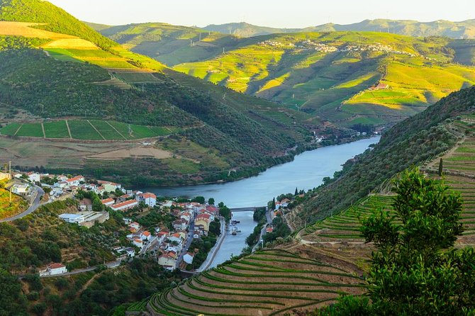 Douro Valley Tour: Wine Tasting, Cruise and Lunch from Porto - Is $84.65 good value?