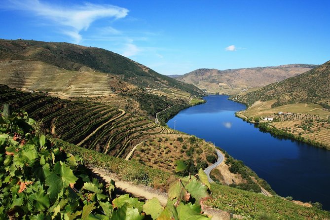 Douro Valley Wine Tour: 3 Vineyard Visits, Wine Tastings, Lunch - Why the Douro Valley makes a good day trip from Porto