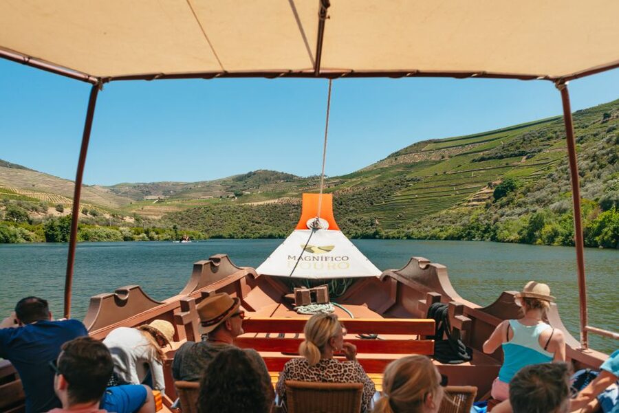 Douro Valley: Wine Tour with Lunch, Tastings & River Cruise - Who will enjoy this tour most