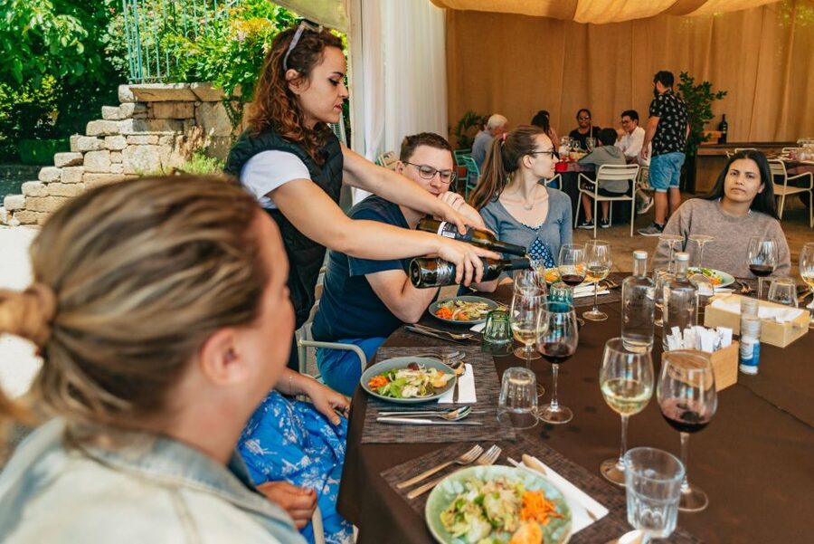 Douro Valley: Wine Tour with Lunch, Tastings & River Cruise - Why this Douro day trip works so well