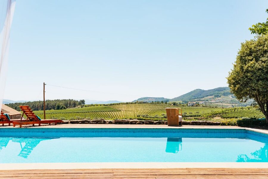 Douro Valley: Wine Tour with Lunch, Tastings & River Cruise - A quiet hour on the Douro River