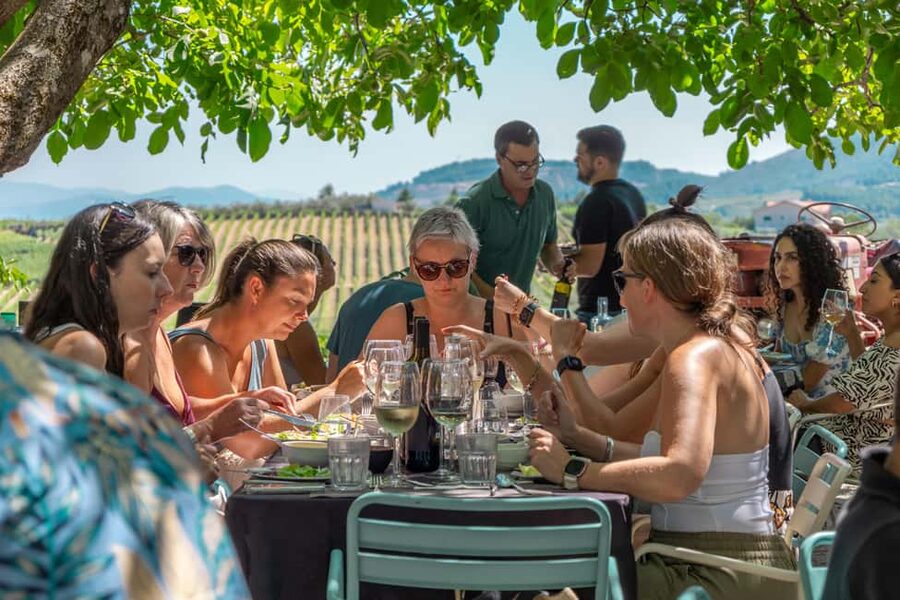 Douro Valley: Wine Tour with Lunch, Tastings & River Cruise - The second wine estate and a different style of tasting