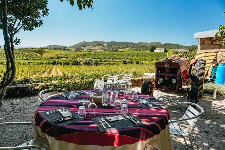 Douro Valley: Wine Tour with Lunch, Tastings & River Cruise - Returning to Porto on the N222