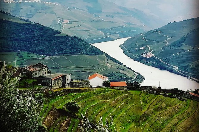 Douro Valley with Two Winery, Boat Trip and Lunch From Porto - Why this Douro Valley day trip works