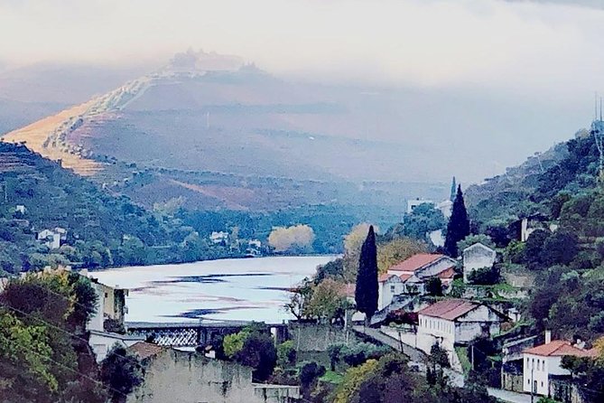 Douro Valley with Two Winery, Boat Trip and Lunch From Porto - Viewpoints over the Douro Valley