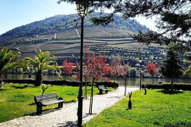 Douro Valley with Two Winery, Boat Trip and Lunch From Porto - Pinhão from the Douro River