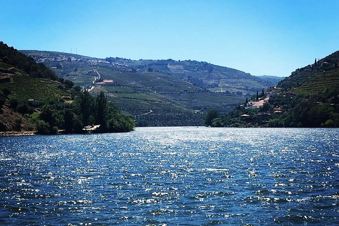 Douro Valley with Two Winery, Boat Trip and Lunch From Porto - The smaller winery and olive oil stop