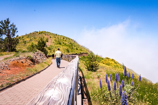 East of Madeira | Full Day 4x4 Tour - Santana, traditional houses, and a long lunch