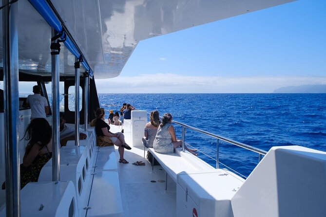 Eco-Friendly Catamaran Dolphin and Whale Watching - Cabo Girão and the south coast by catamaran