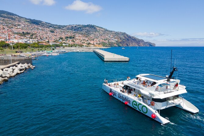 Eco-Friendly Catamaran Dolphin and Whale Watching - Booking, meeting point, and cancellation details