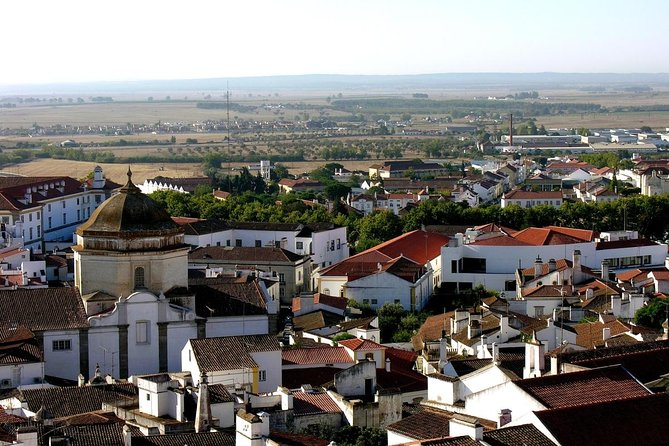 Évora: Private walking tour with tickets to main monuments - Key Points Before You Book