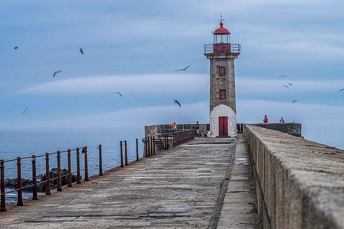Experience Porto by Bike: 3-Hour Private Tour - Passeio Alegre, Foz, and the Atlantic Air