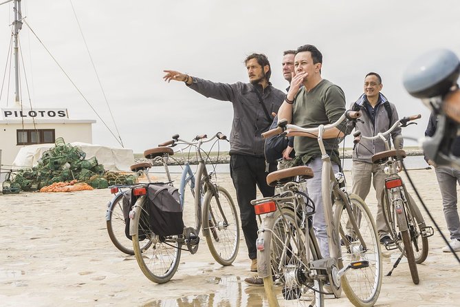 Experience Porto by Bike: 3-Hour Private Tour - City Park and Pasteleira’s Green Routes