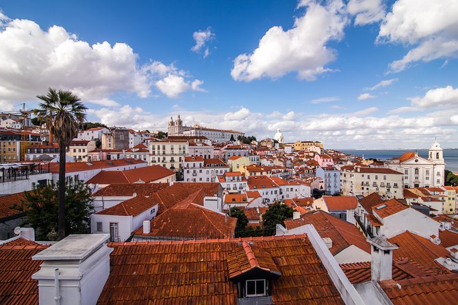 Explore Lisbon City on a private half-day tour in a van - Chiado, Baixa, and Alfama from the van