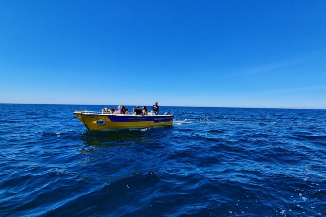 Express Tour - Benagil Cave - Who will enjoy this express boat ride most?