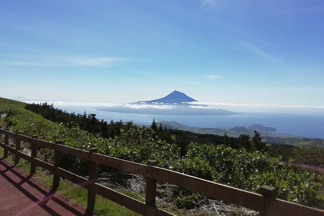 Faial Island: Half Day Tour - The Caldeira is the tour’s weather-dependent centerpiece