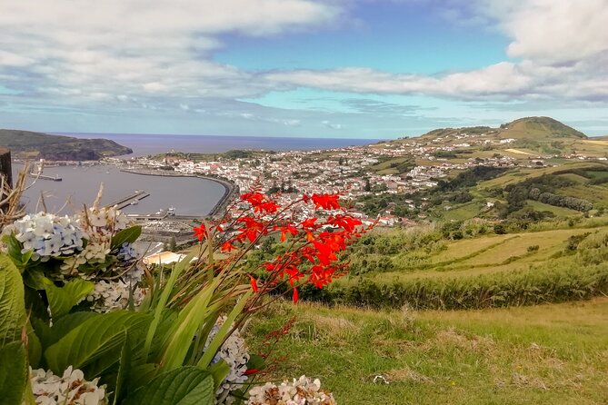 Faial Island: Half Day Tour - Local guides make the difference