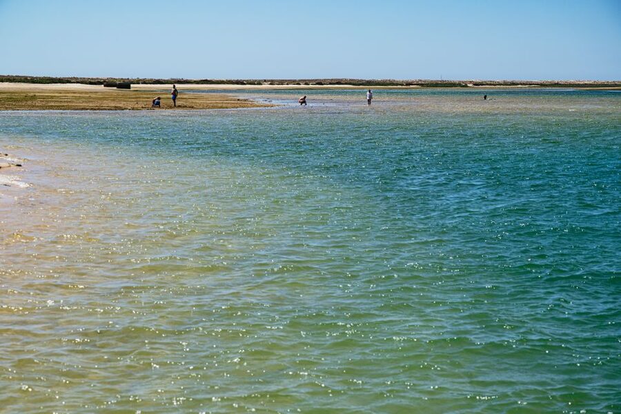 Faro: Deserta Island and Farol Island Catamaran Boat Trip - Is $47 a fair price?