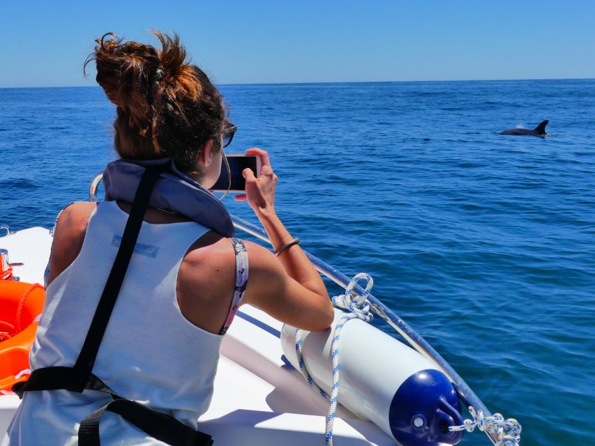 Faro: Dolphin and Wildlife Watching in the Atlantic Ocean - Practical details that make the trip easier