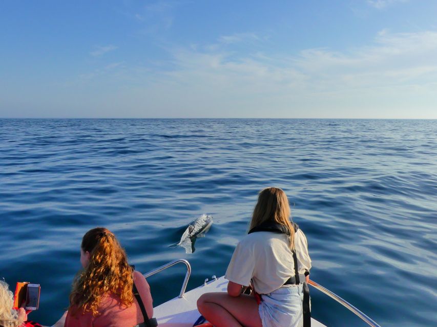 Faro: Dolphin and Wildlife Watching in the Atlantic Ocean - Leaving Faro through Ria Formosa