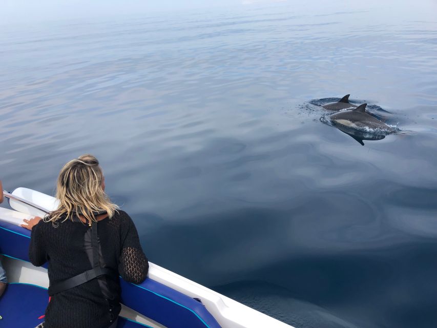 Faro: Dolphin and Wildlife Watching in the Atlantic Ocean - The fast ride into the Atlantic