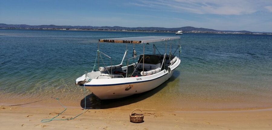 Faro: Eco-Friendly Ria Formosa Bird Watching in Solar Boat - Binoculars, bird books, and better identification