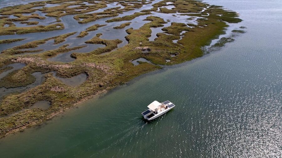 Faro: Ria Formosa Boat Tour by Eco-Friendly Solar Boat - Key points to know before booking