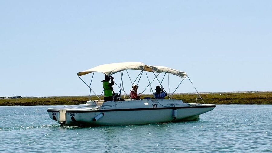Faro: Ria Formosa Boat Tour by Eco-Friendly Solar Boat - Why the Ria Formosa is worth seeing from the water