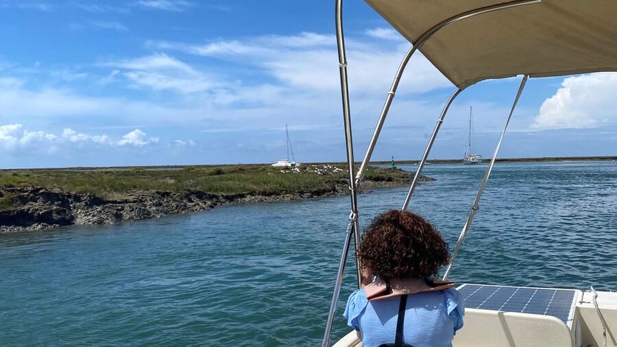 Faro: Ria Formosa Boat Tour by Eco-Friendly Solar Boat - A one-hour route through protected marshes