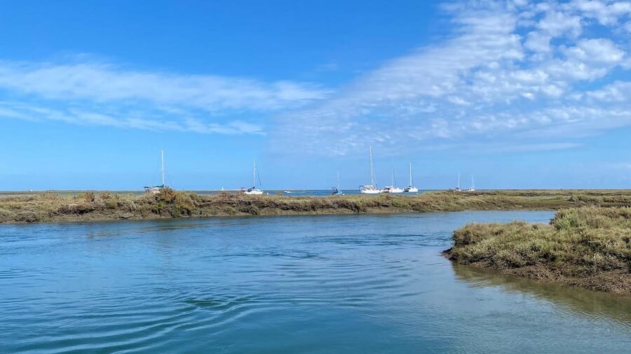 Faro: Ria Formosa Boat Tour by Eco-Friendly Solar Boat - The quiet solar boat changes the experience
