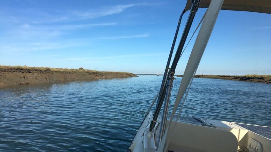 Faro: Ria Formosa Boat Tour by Eco-Friendly Solar Boat - What the scenery feels like from the water