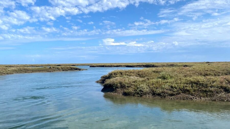 Faro: Ria Formosa Boat Tour by Eco-Friendly Solar Boat - Who will enjoy this Faro boat trip?