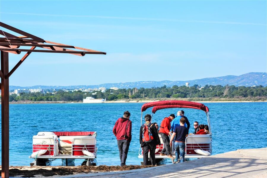 Faro: Ria Formosa Faro Islands Boat Tour - Key details before you book