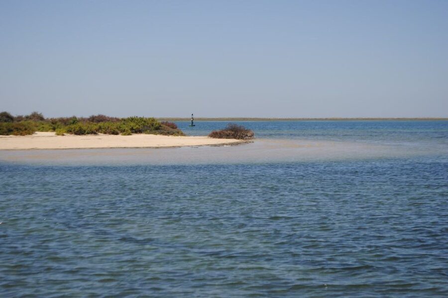 Faro: Ria Formosa Lagoon Small Boat Tour with Local Guide - What the one-hour itinerary really delivers