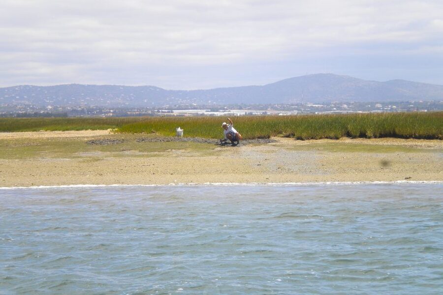 Faro: Ria Formosa Lagoon Small Boat Tour with Local Guide - Comfort, weather, and what to bring