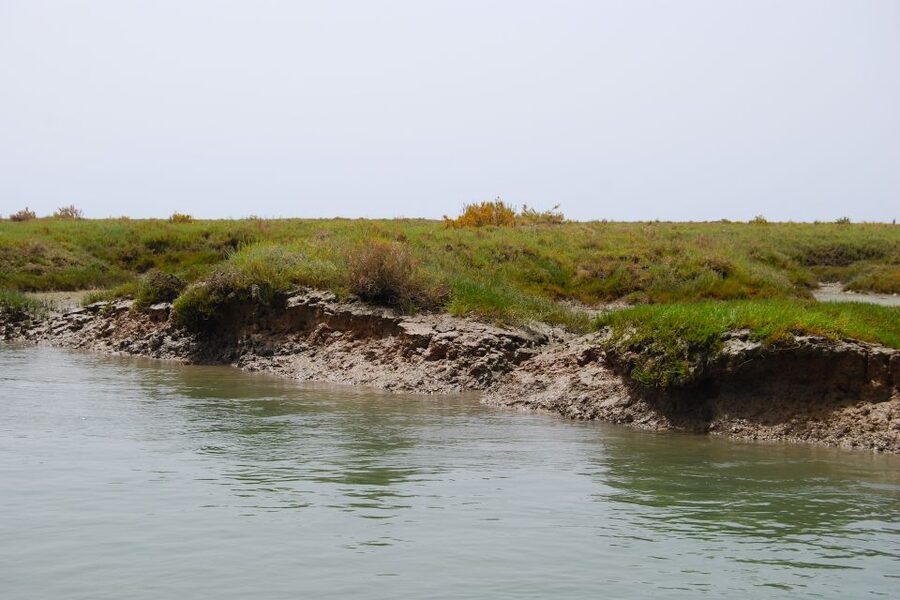 Faro: Ria Formosa Lagoon Small Boat Tour with Local Guide - Is $29 a fair price?