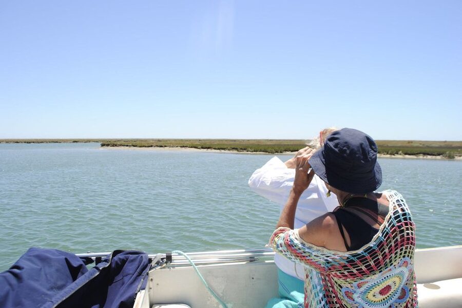 Faro: Ria Formosa Lagoon Small Boat Tour with Local Guide - Who will enjoy this Faro boat tour?