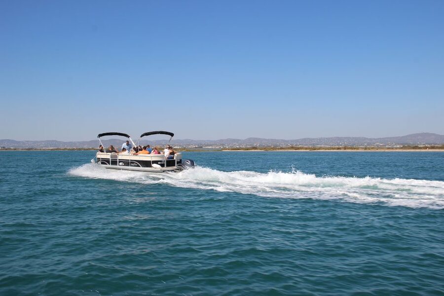 Faro: Ria Formosa Lagoon Small Boat Tour with Local Guide - Seeing Faro’s Old Town walls from the water