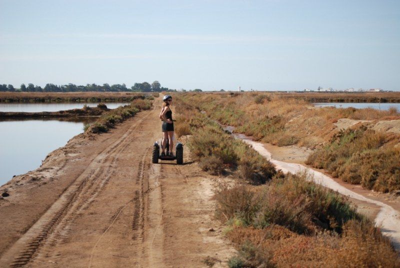 Faro: Ria Formosa Natural Park Segway Tour & Birdwatching - Practical details before you book