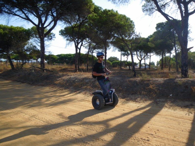 Faro: Ria Formosa Natural Park Segway Tour & Birdwatching - What the guides add to the ride