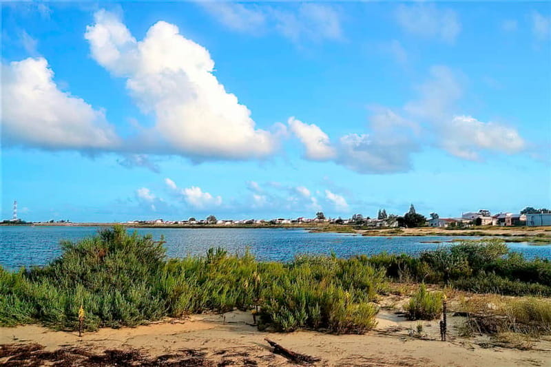 Faro: Sunset 1 hour Ria Formosa Boat Tour - Booking flexibility and useful practical details