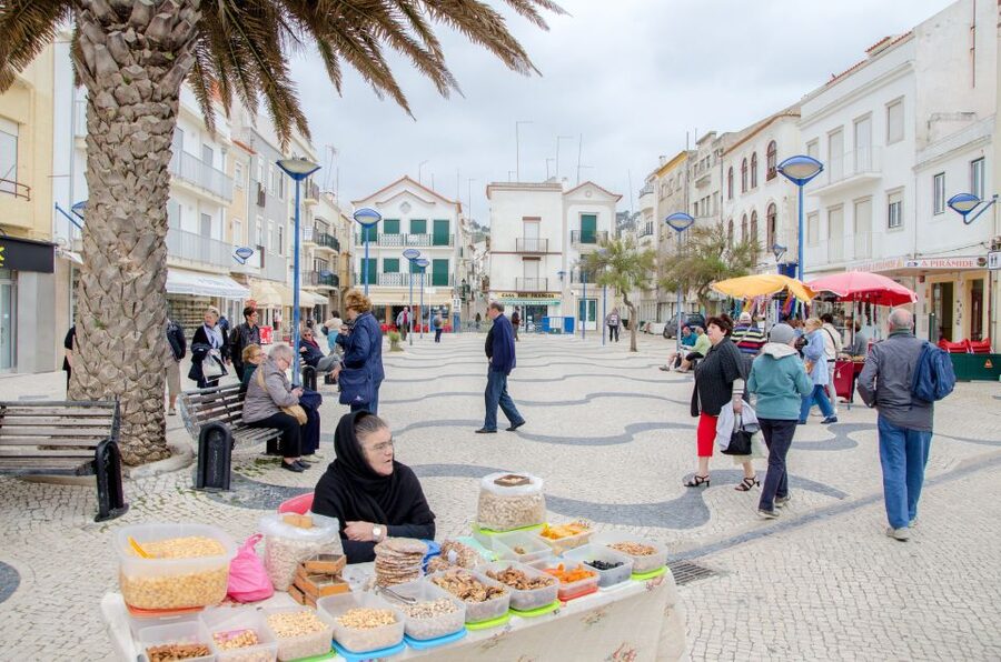 Fátima, Óbidos and the Atlantic Coast Day Tour from Lisbon - What the van ride is really like