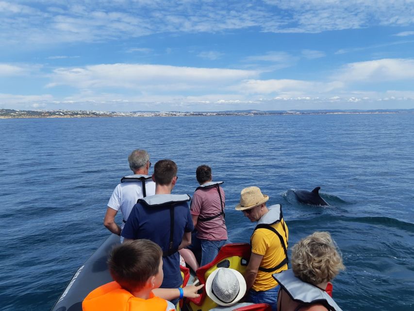 From Albufeira: Benagil Caves and Dolphins Guided Boat Tour - Looking for dolphins in open water