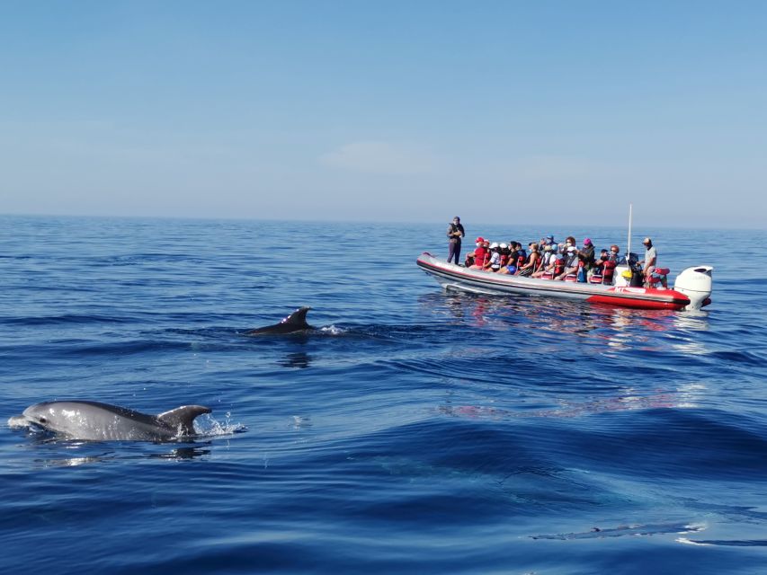 From Albufeira: Benagil Caves and Dolphins Guided Boat Tour - Cruising toward the Benagil coast