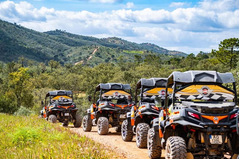 From Albufeira: Half-Day Buggy Adventure Tour - Quinta Do Goji: a scenic finish