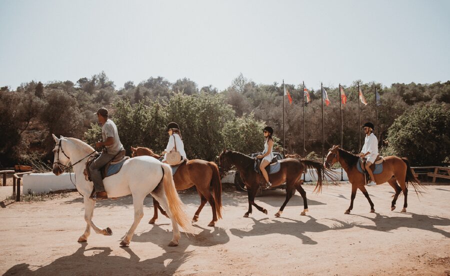 From Albufeira: Horse Riding Tour with Pickup - A 100-minute ride through Algarve countryside