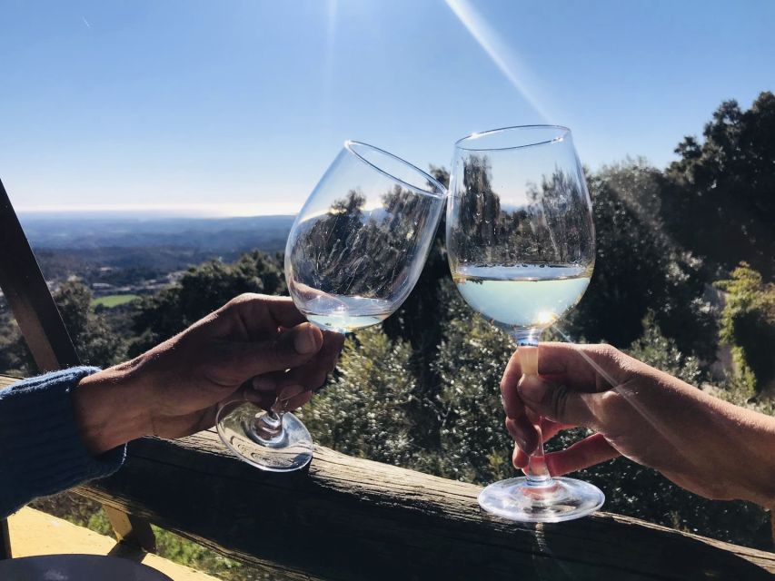 From Albufeira: Wine Tasting & Historic Silves Tour - Key details before you book