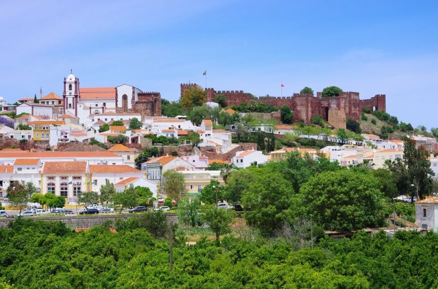 From Albufeira: Wine Tasting & Historic Silves Tour - Should you book the Silves and winery tour?