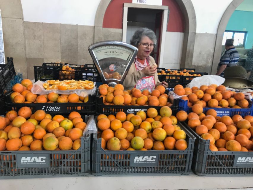From Albufeira: Wine Tasting & Historic Silves Tour - Tasting three wines with Algarve snacks